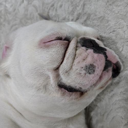 สมาชิกหมายเลข 6389837