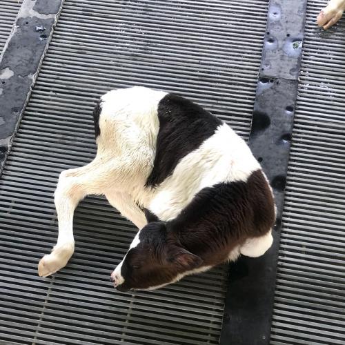 สมาชิกหมายเลข 4506986