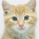 สมาชิกหมายเลข 4785232