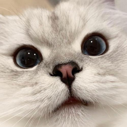 สมาชิกหมายเลข 5228741