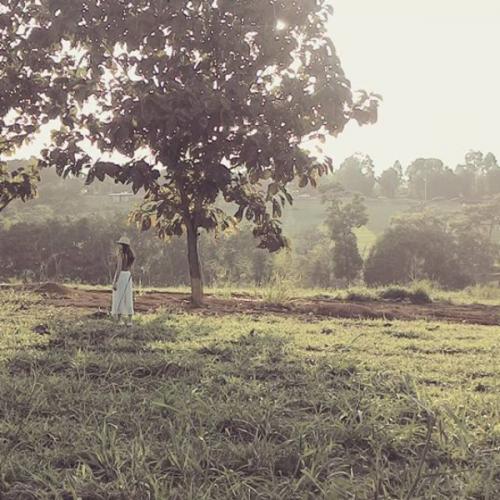 สมาชิกหมายเลข 951913