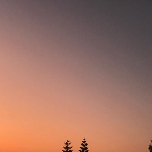 สมาชิกหมายเลข 5498200