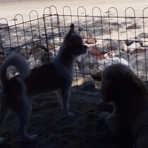 สมาชิกหมายเลข 5631228