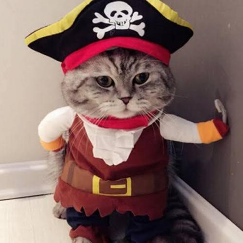 สมาชิกหมายเลข 5651953