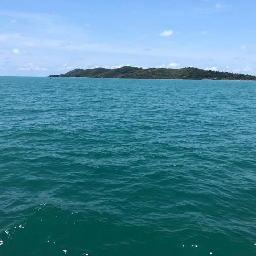 สมาชิกหมายเลข 5653069