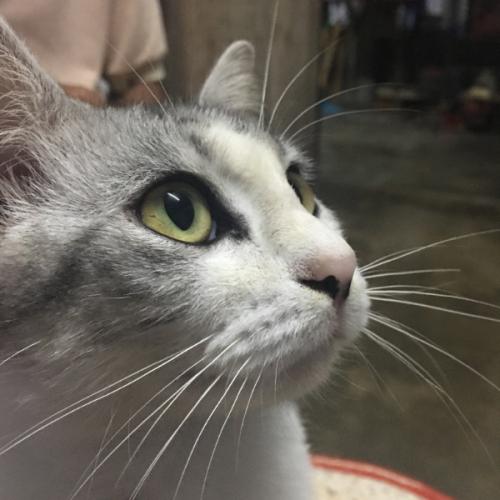 สมาชิกหมายเลข 5653284