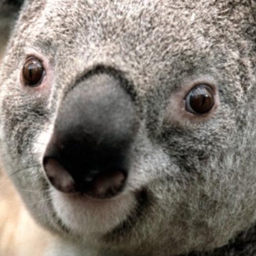 สมาชิกหมายเลข 3303118