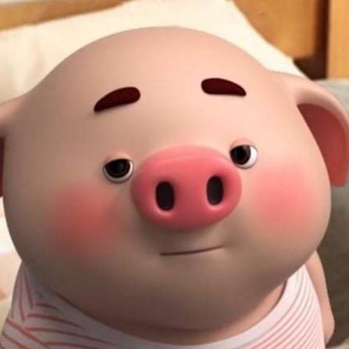 สมาชิกหมายเลข 4561194