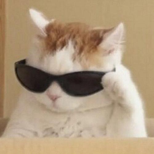 สมาชิกหมายเลข 5863432