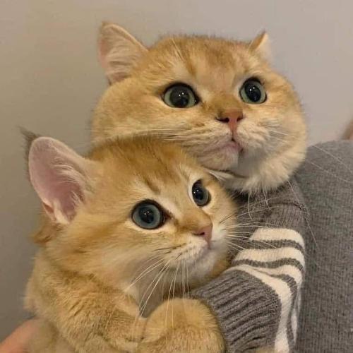 สมาชิกหมายเลข 6713800