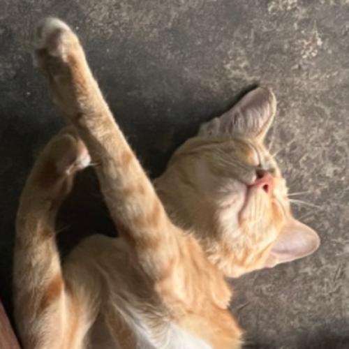 สมาชิกหมายเลข 3395670