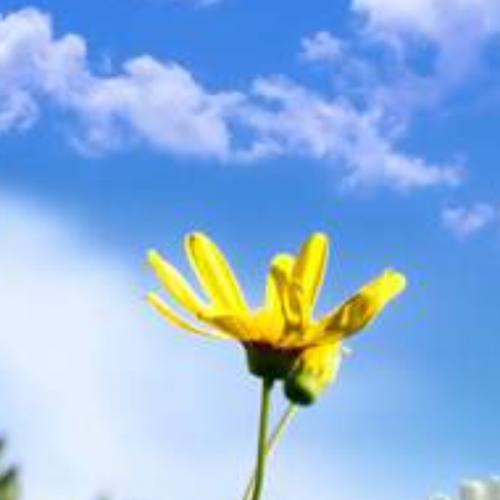 สมาชิกหมายเลข 7642691