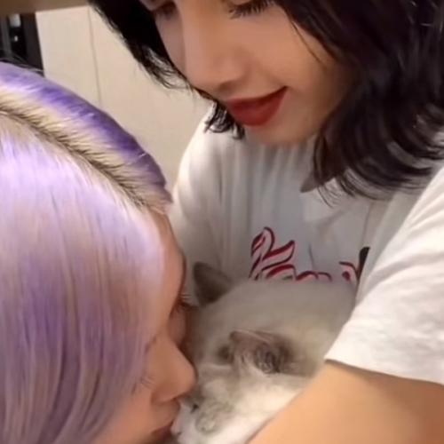 สมาชิกหมายเลข 4351193