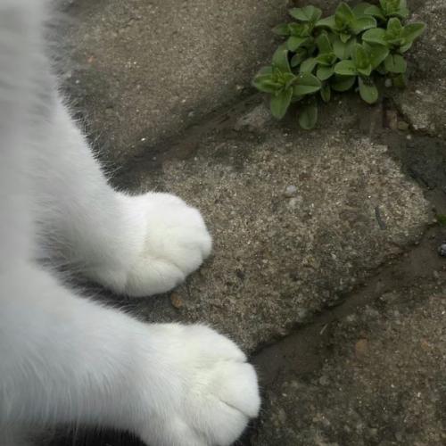 สมาชิกหมายเลข 6700592