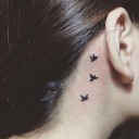 สมาชิกหมายเลข 4054985