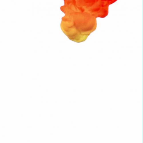 สมาชิกหมายเลข 4841853