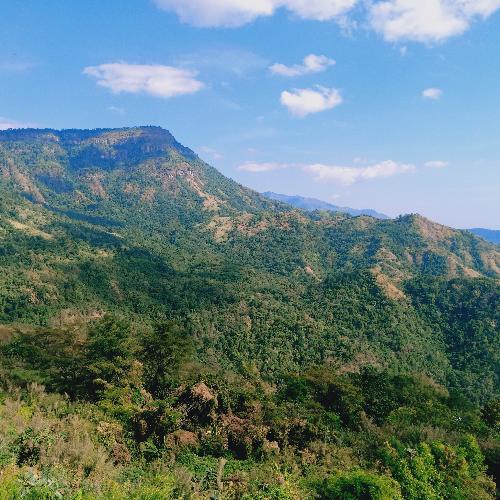 สมาชิกหมายเลข 2679147