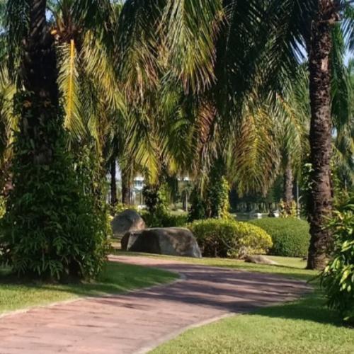 สมาชิกหมายเลข 1669973