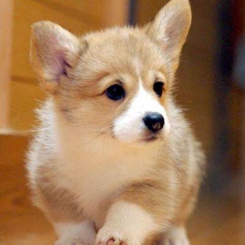 สมาชิกหมายเลข 5371829