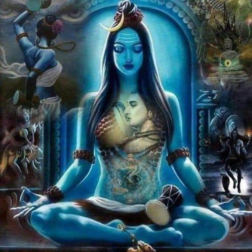 สมาชิกหมายเลข 5653769