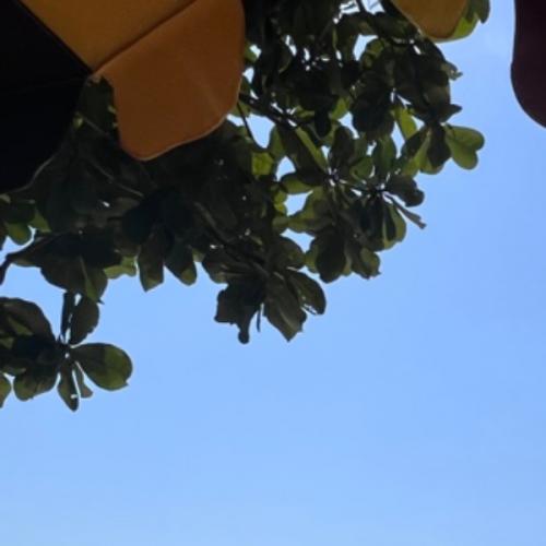 สมาชิกหมายเลข 6877824