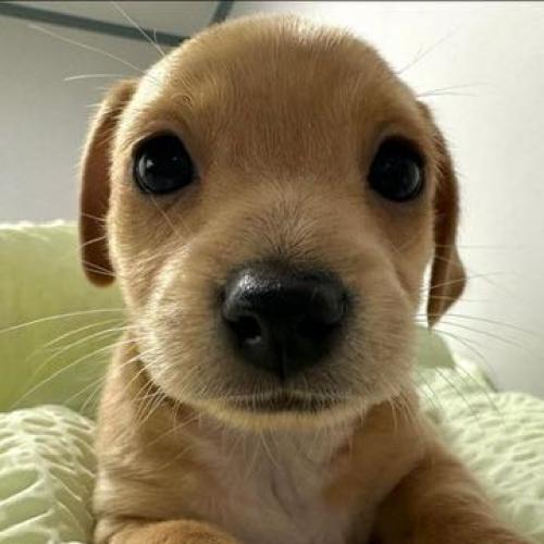 สมาชิกหมายเลข 6686768