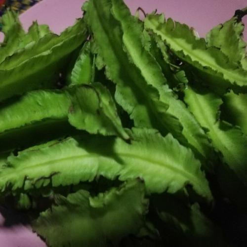 สมาชิกหมายเลข 2073987