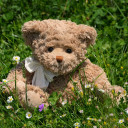 นางฟ้าปีศาจ Maleficent