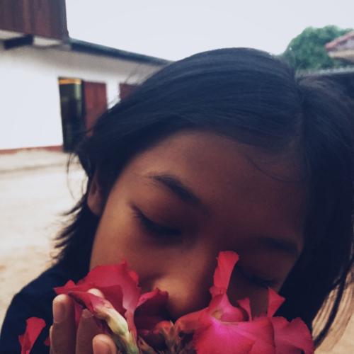 สมาชิกหมายเลข 5229832