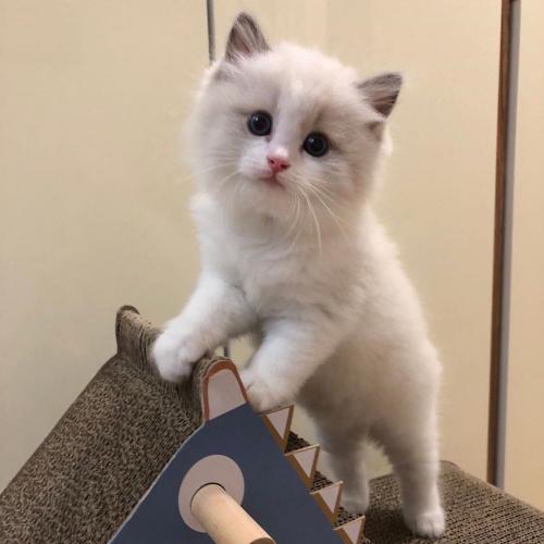 สมาชิกหมายเลข 5626374