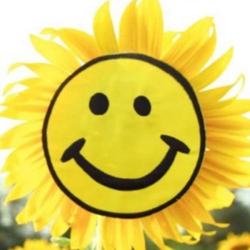 หมีน้อยในโลกกว้าง