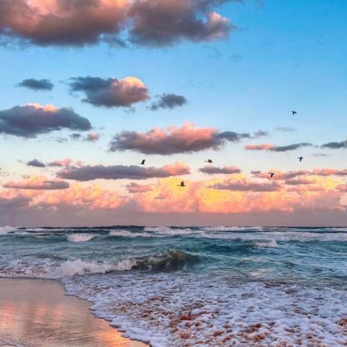 สมาชิกหมายเลข 6878809