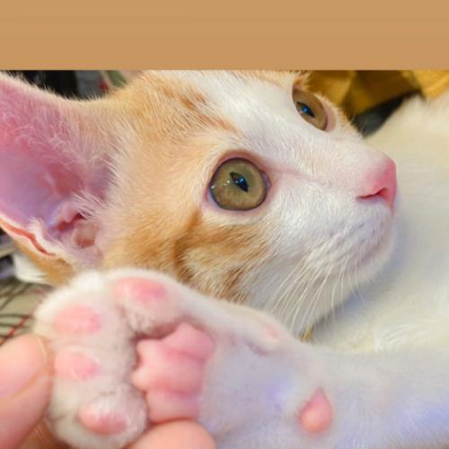 สมาชิกหมายเลข 7616548