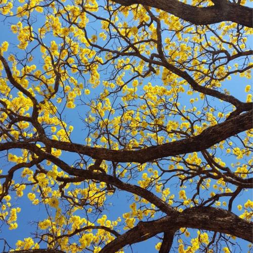 สมาชิกหมายเลข 3220987