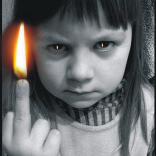 สมาชิกหมายเลข 8204629