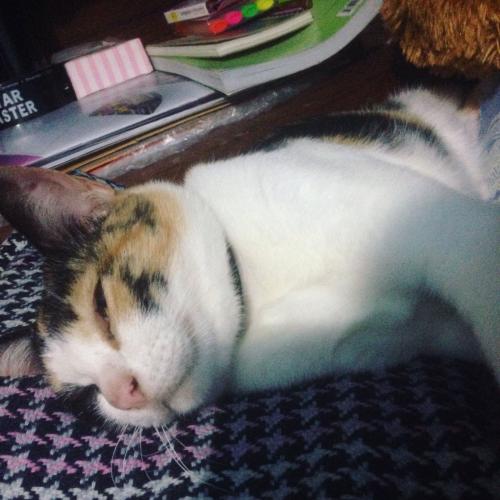 สมาชิกหมายเลข 4052466