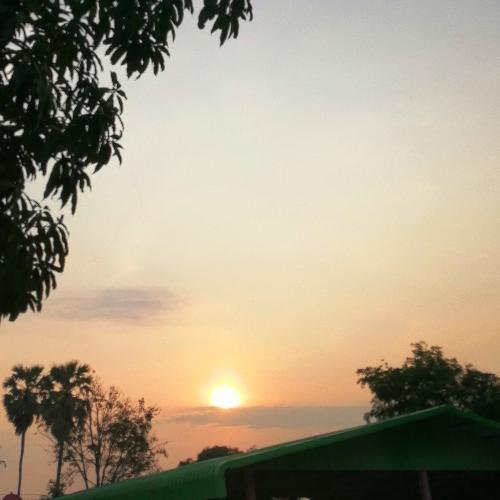 สมาชิกหมายเลข 5230089