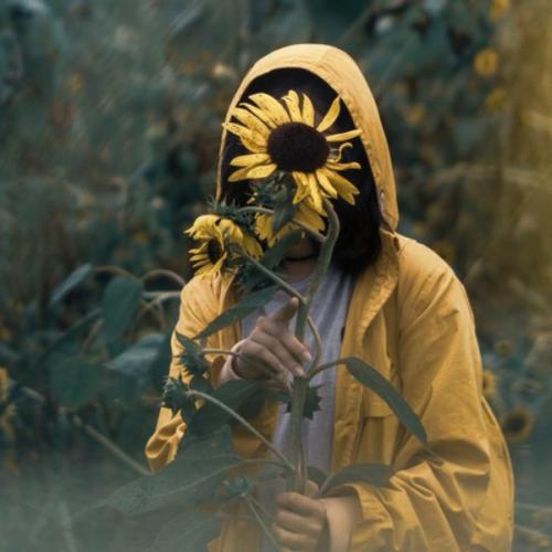 สมาชิกหมายเลข 4646778