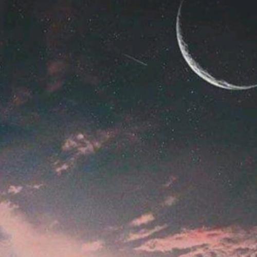 สมาชิกหมายเลข 4770046