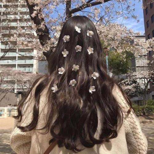 สมาชิกหมายเลข 4980831