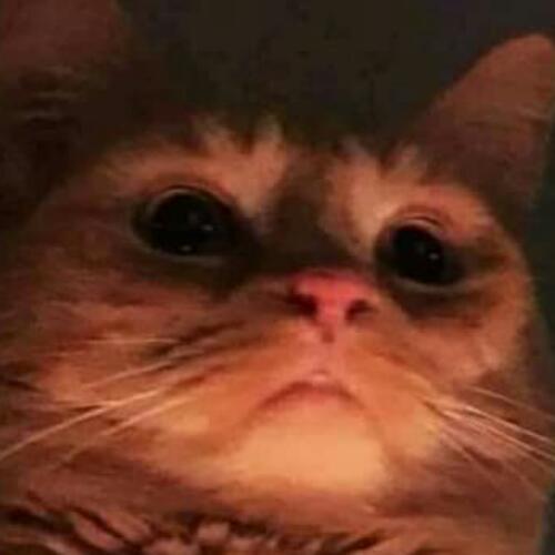 สมาชิกหมายเลข 5159911