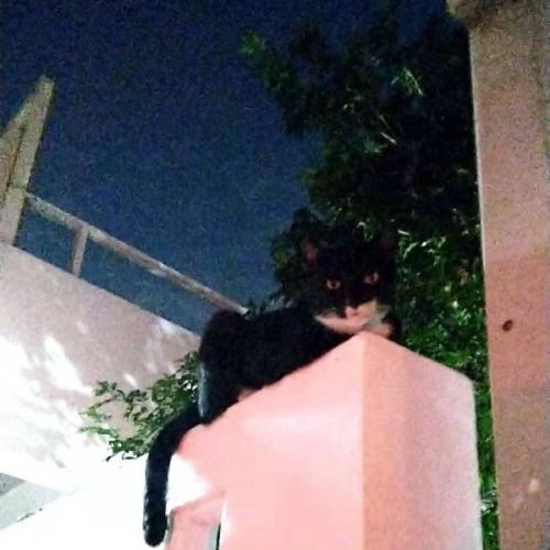 ตลอดเวลาคิดถึงแต่เธอ