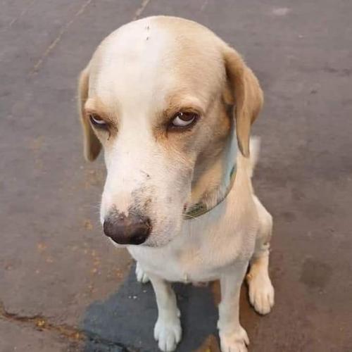 สมาชิกหมายเลข 1528798