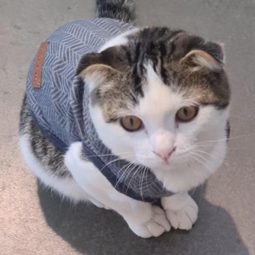 สมาชิกหมายเลข 2858949