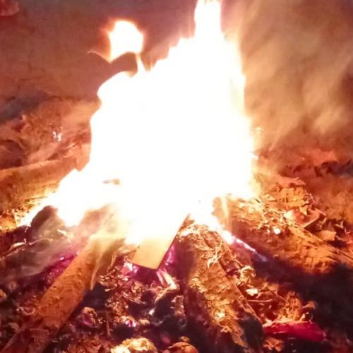 สมาชิกหมายเลข 6879546