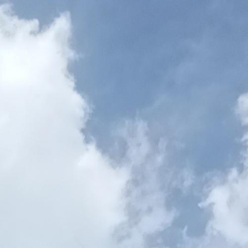 สมาชิกหมายเลข 6880125