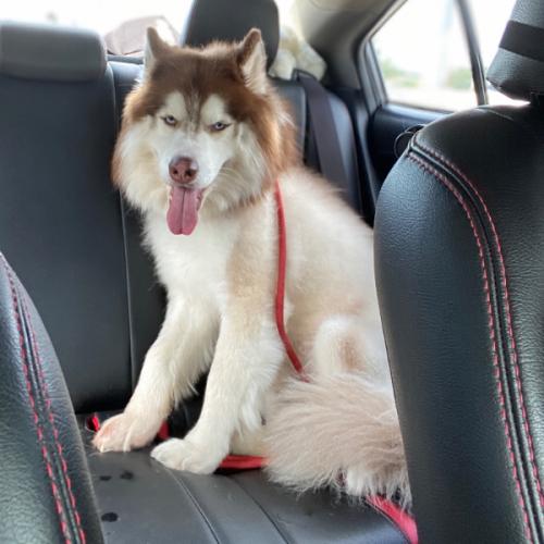 สมาชิกหมายเลข 7643653