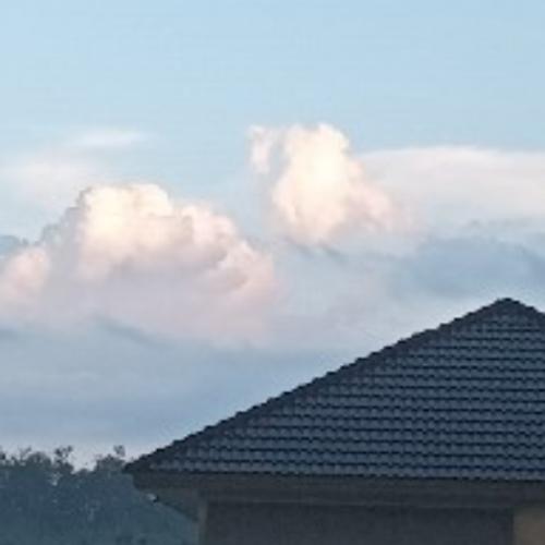 สมาชิกหมายเลข 7826849