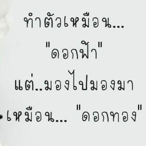 สมาชิกหมายเลข 4507849