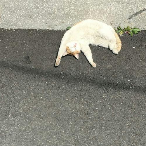 สมาชิกหมายเลข 2101956